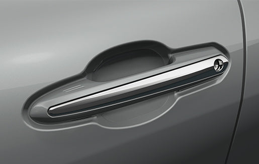 Toyota Paint Protection Film – Door Cup - Crown PK174-42K00